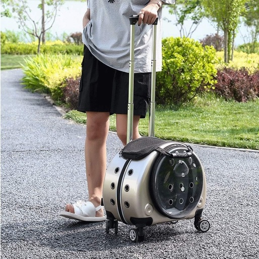 Kofer za Transport Kućnih ljubimaca Premium Gold