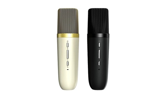 HiFuture Vocalist 100, Black Karaoke Bluetooth Zvučnik