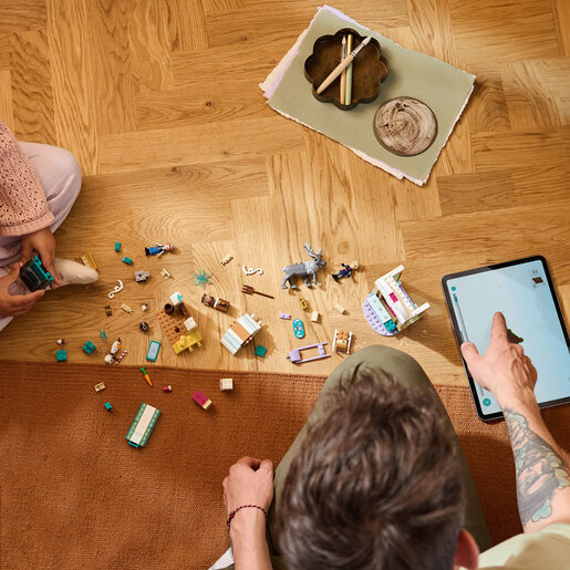 LEGO Anina avantura na sankama 43256