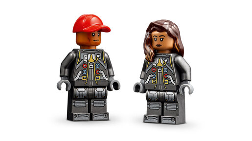 LEGO Do Meseca sa Farelom Vilijamsom 10391