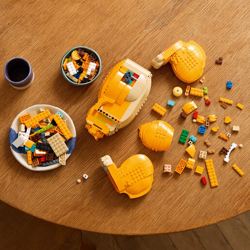 LEGO Mladi Simba – Kralj lavova 43247