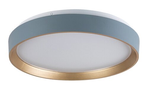 Rabalux Plafonjere Liatris2 71185