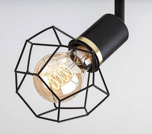 Rabalux Plafonjere Fran 71066