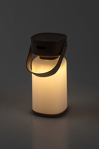 Rabalux Spoljna dekorativna rasveta Funes 77143