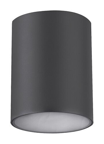 Rabalux Spoljna plafonska rasveta Zombor 7819