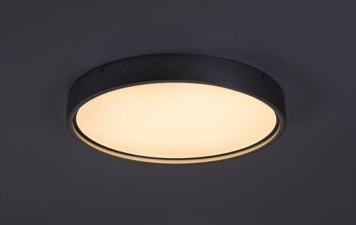 Rabalux Plafonjere Dewson 71289