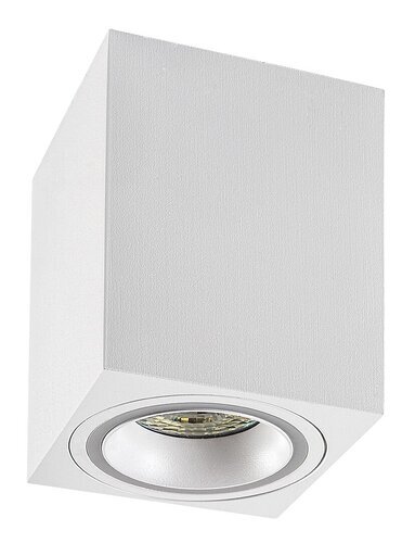 Rabalux Ugradna i nadgradna rasveta Kobald 71165