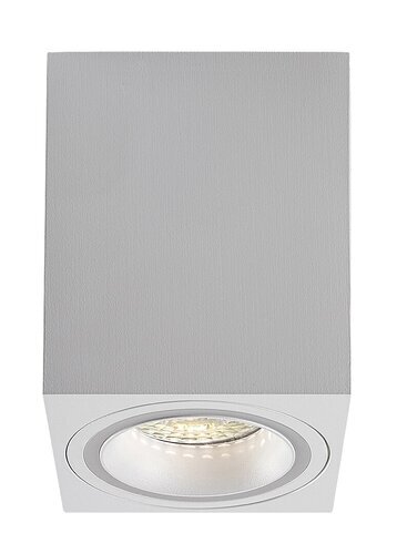 Rabalux Ugradna i nadgradna rasveta Kobald 71165