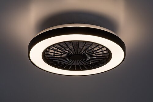 Rabalux Plafonjere Dalfon2 71336