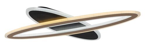 Rabalux Plafonjere Taneli2 71313