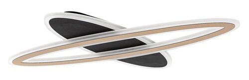 Rabalux Plafonjere Taneli2 71313