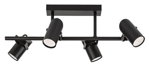 Rabalux Plafonjere Maximilian 73044