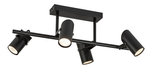 Rabalux Plafonjere Maximilian 73044