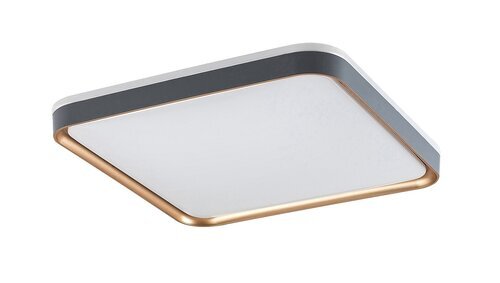 Rabalux Plafonjere Liatris 71029