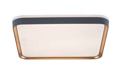 Rabalux Plafonjere Liatris 71029