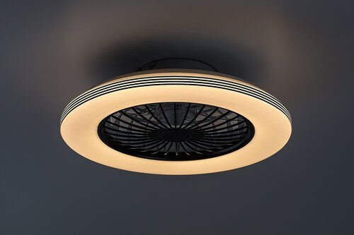 Rabalux Plafonjere Dalfon2 71330