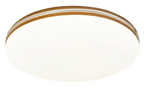 Rabalux Plafonjere Oscar2 71173