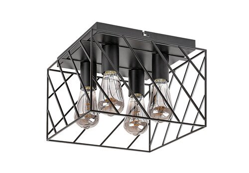 Rabalux Plafonjere Boroo 71027