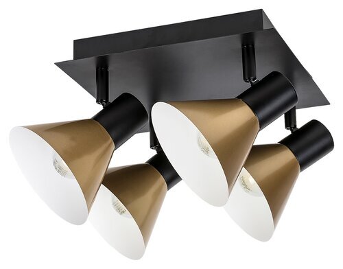 Rabalux Spot rasveta Alvaro 3159