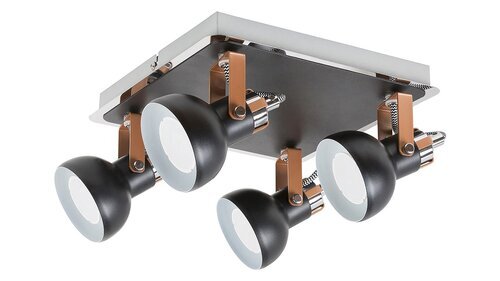 Rabalux Spot rasveta Balzac 5612