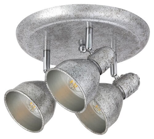 Rabalux Spot rasveta Thelma 5388