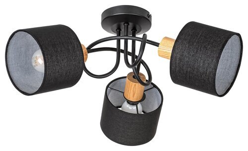 Rabalux Spot rasveta Miguel 3246