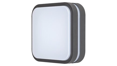 Rabalux Spoljna plafonska rasveta Hamburg 8850