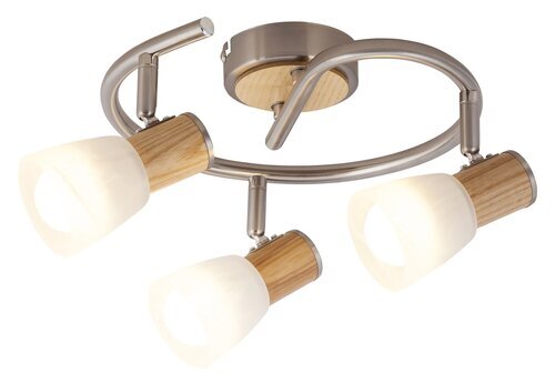 Rabalux Spot rasveta Gavin 6488