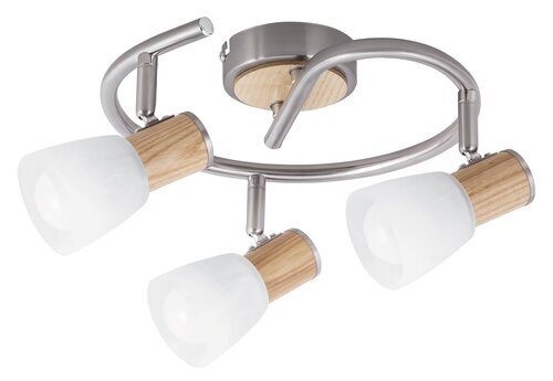 Rabalux Spot rasveta Gavin 6488