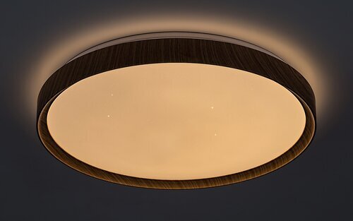 Rabalux Plafonjere Sherwood 3500