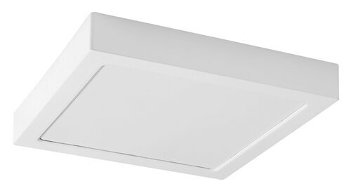 Rabalux Ugradna i nadgradna rasveta Shaun2 71197