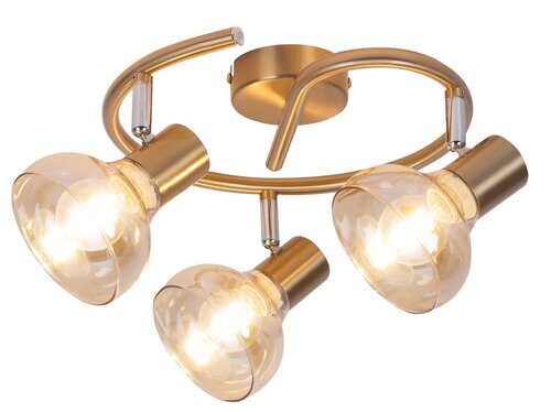 Rabalux Spot rasveta Holly 5549