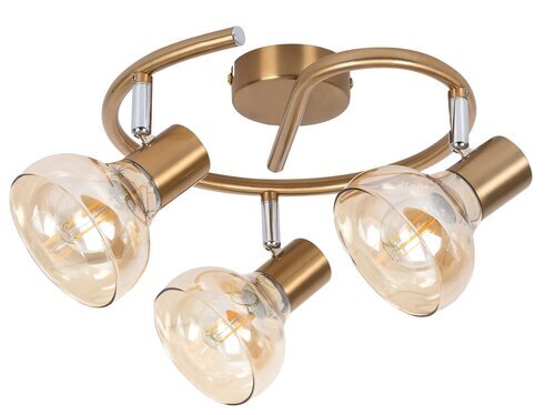 Rabalux Spot rasveta Holly 5549