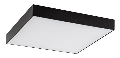 Rabalux Spoljna plafonska rasveta Tartu 7900