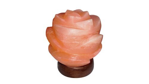 Rabalux Dekorativna rasveta Flores 2676