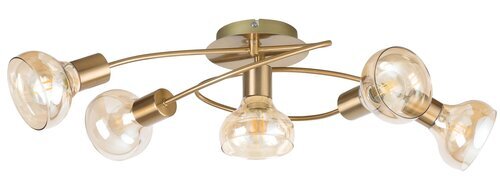 Rabalux Plafonjere Holly 5552