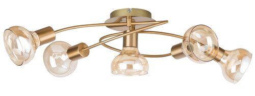 Rabalux Plafonjere Holly 5552