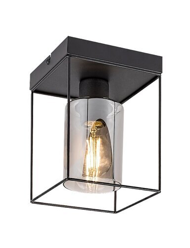 Rabalux Plafonjere Chadwick 71031