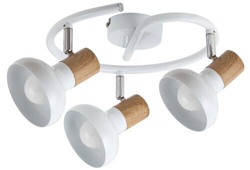 Rabalux Spot rasveta Holly 5946