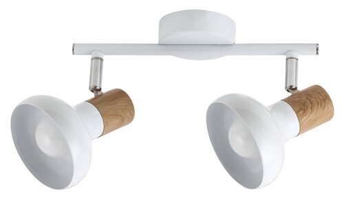 Rabalux Spot rasveta Holly 5944