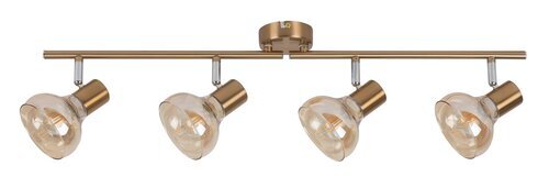 Rabalux Spot rasveta Holly 5550