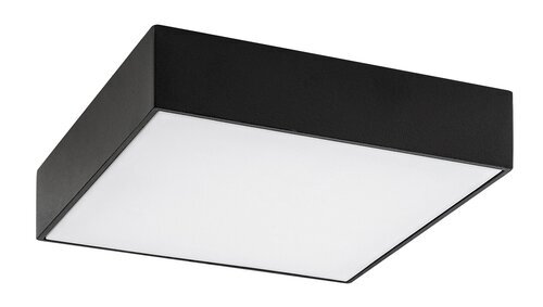 Rabalux Spoljna plafonska rasveta Tartu 7899