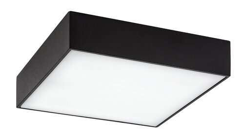 Rabalux Spoljna plafonska rasveta Tartu 7899