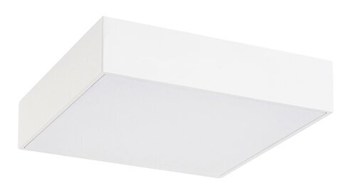 Rabalux Spoljna plafonska rasveta Tartu 7895