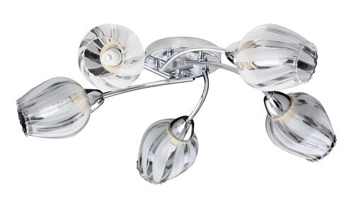 Rabalux Plafonjere Danila 2970