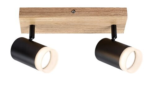 Rabalux Spot rasveta Toras 73122