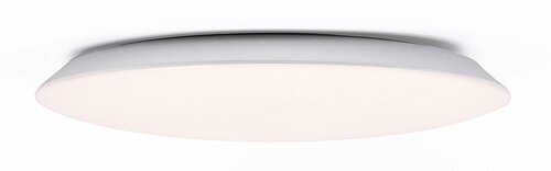 Rabalux Plafonjere Rorik 71123