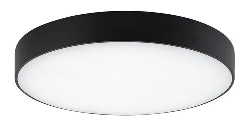 Rabalux Spoljna plafonska rasveta Tartu 7898