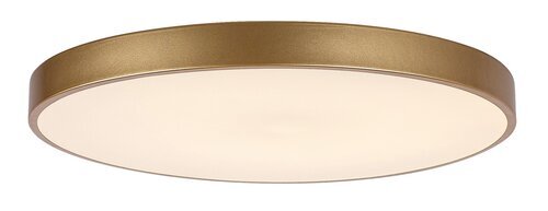 Rabalux Plafonjere Tesia 71038