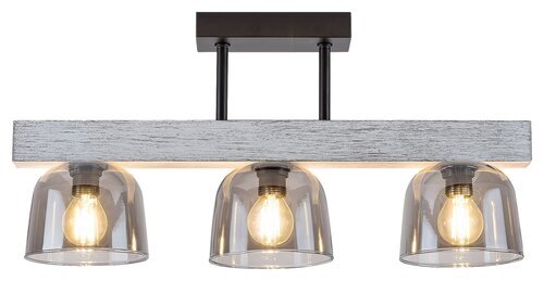 Rabalux Plafonjere Cardamom 3119